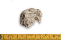 F 08872
<br/>
<br/>
<em></em>